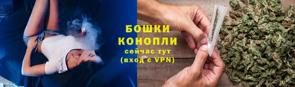 дживик Богородск