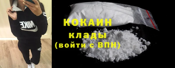 дживик Богородск