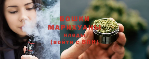 дживик Богородск