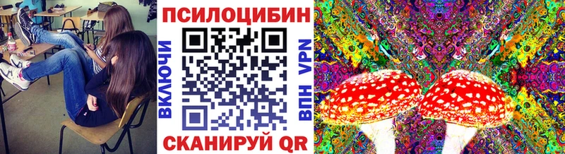 Галлюциногенные грибы прущие грибы  Невель 